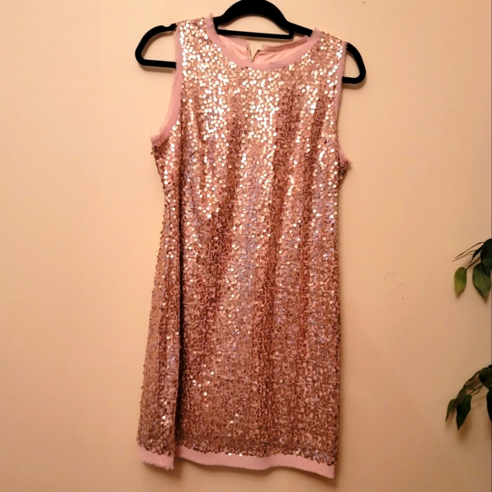 Beautiful Vince Camuto Pink on Pink Sleeveless Sequin Party Dress (Size 12)